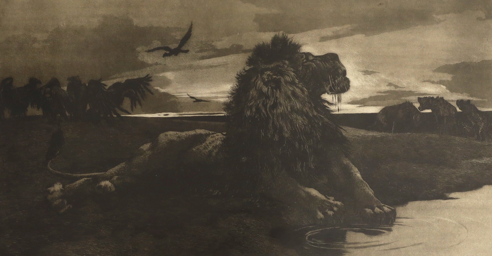 Herbert Thomas Dicksee (1862-1942), etching, 'The Dying Lion', 25 x 47cm with full margins, unframed